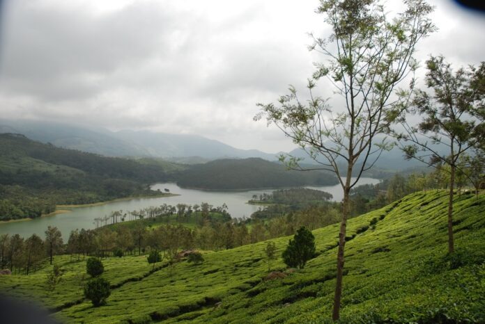 Landscape of Thekkady