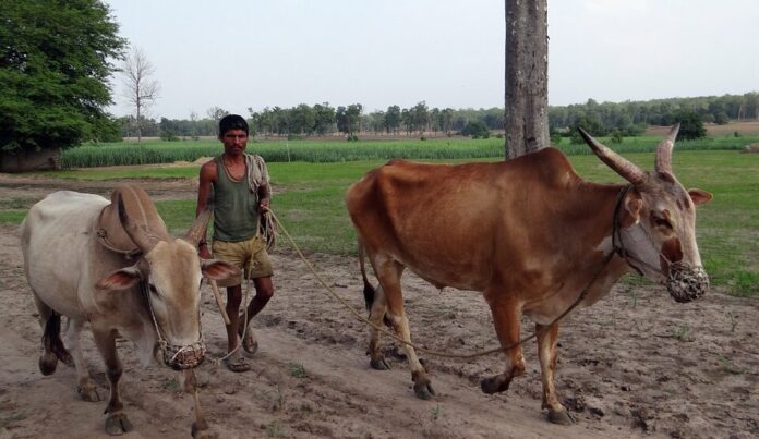 Leading Agricultural Power