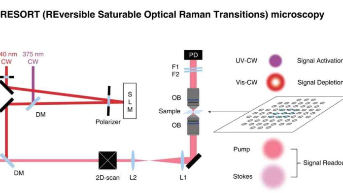 Raman probe imaging